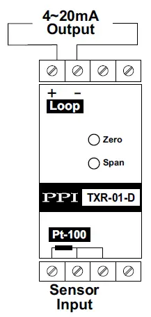 PPI-TXR-01-D-RTD-Pt100-Simplex-DIN-Rail-Mounting-2-Wire-Temperature-Transmitter-fig- (1)