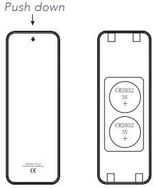 LUMENE COLISEUM Electric Screen-FIG12