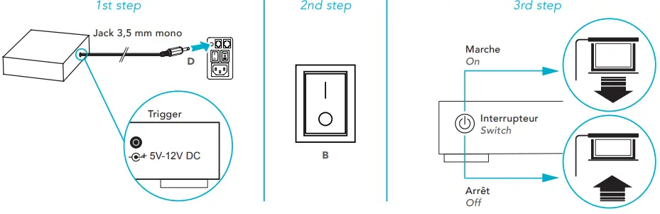 LUMENE COLISEUM Electric Screen-FIG9