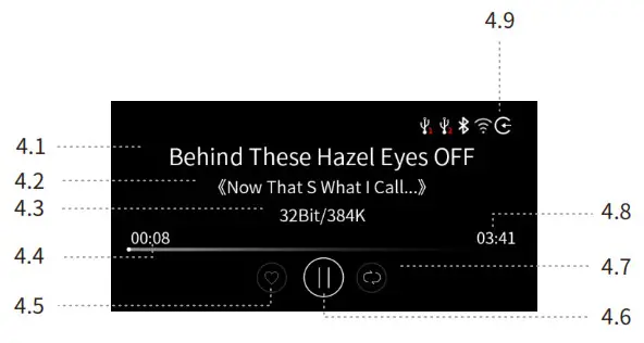 aune S10N Network Music Player - fig 1