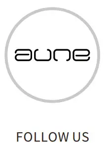 aune S10N Network Music Player - fig 15dd