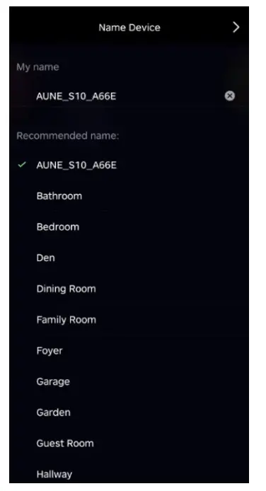 aune S10N Network Music Player - fig 19