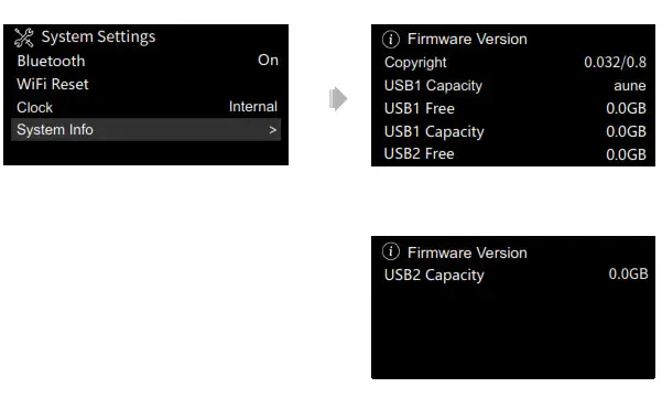 aune S10N Network Music Player - fig 7