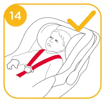 Head Support and Shoulder Harnesses