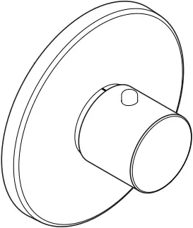 hansgrohe Concealed Highflow Thermostatic Faucet 2