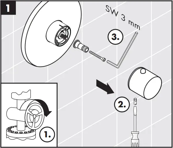 hansgrohe Concealed Highflow Thermostatic Faucet - Maintenance 1
