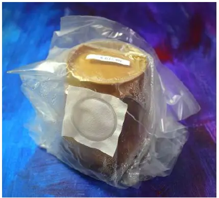 Bluestem-Sacred-Mushroom-Grail-FIG-1