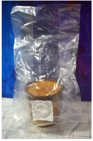 Bluestem-Sacred-Mushroom-Grail-FIG-2