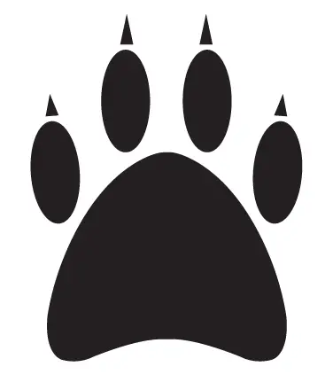 BOSCH S-500,-S-plus 500-M-700-M-plus-700-Indego-13