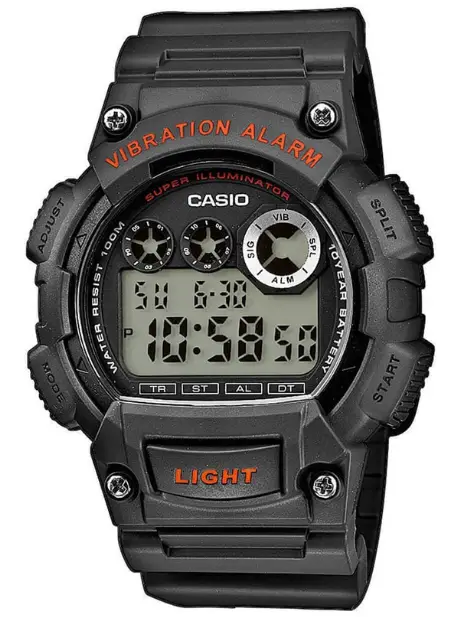 CASIO 3416 DST Setting-Module