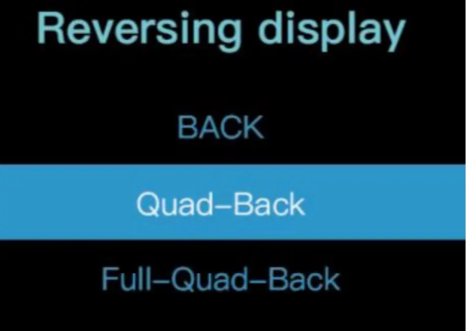 Reversing Display