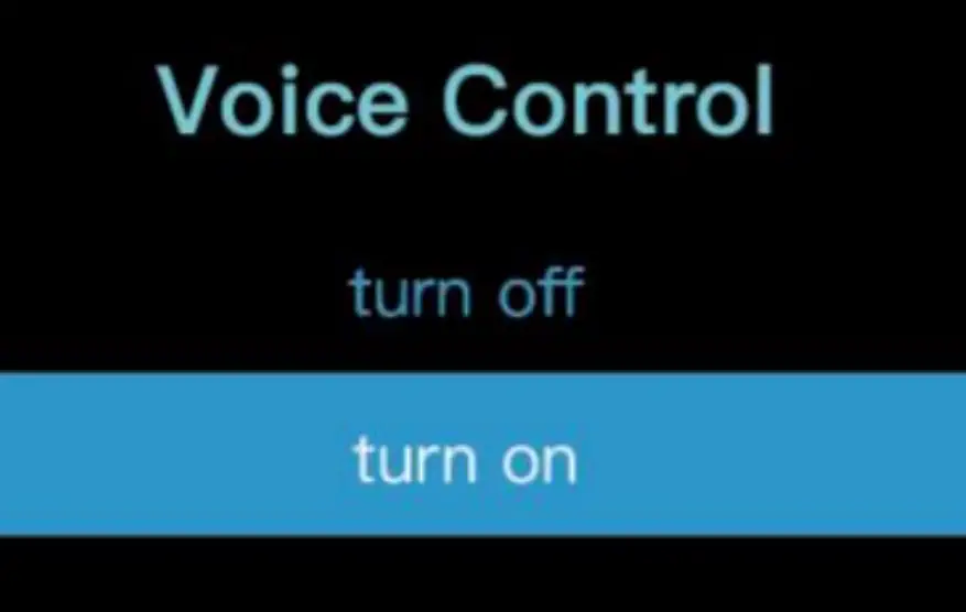Voice Control