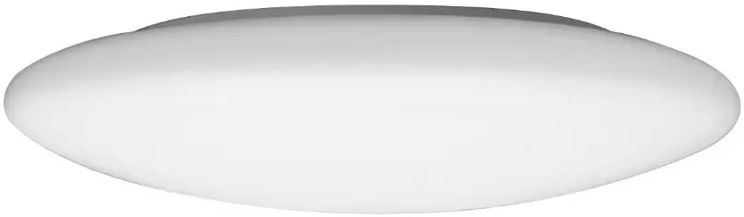 BEGA 23321 Ceiling and Wall Luminaire