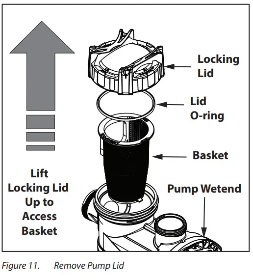 ASTRALPOOL-P520XT-Viron-XT-Series-Pumps-12