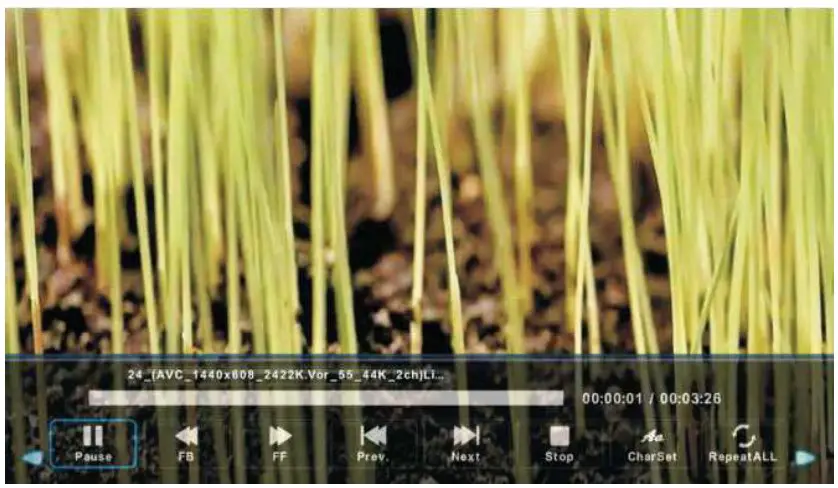 ENGLAON 24M40 24 Inch HD LED 12V TV - USB Features 4