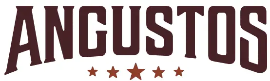 ANGUSTOS-AL-V716L-VGA-Single-Rail-LCD-KVM-Switch-PRODUCT