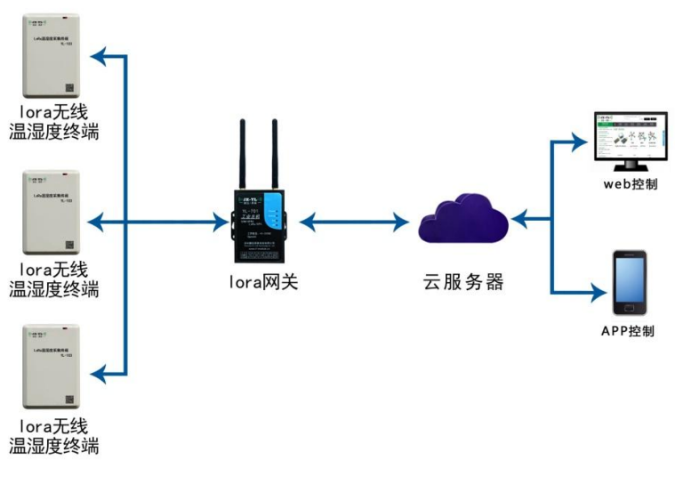 Appcon Wireless YRS-10CL Wireless Temperature Sensor - Product Overview
