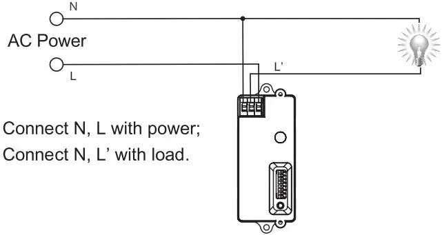 UTILIZING FIELD AND INTRODUCTION
