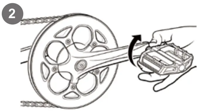 Assembly Instructions