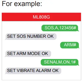 MiCODUS ML808G GPS Tracker - Explanation 2