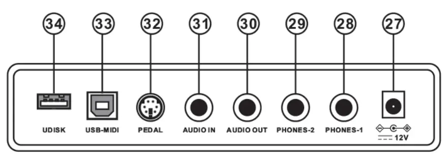 Schubert 10034897 Piano Keyboard - Rear panel