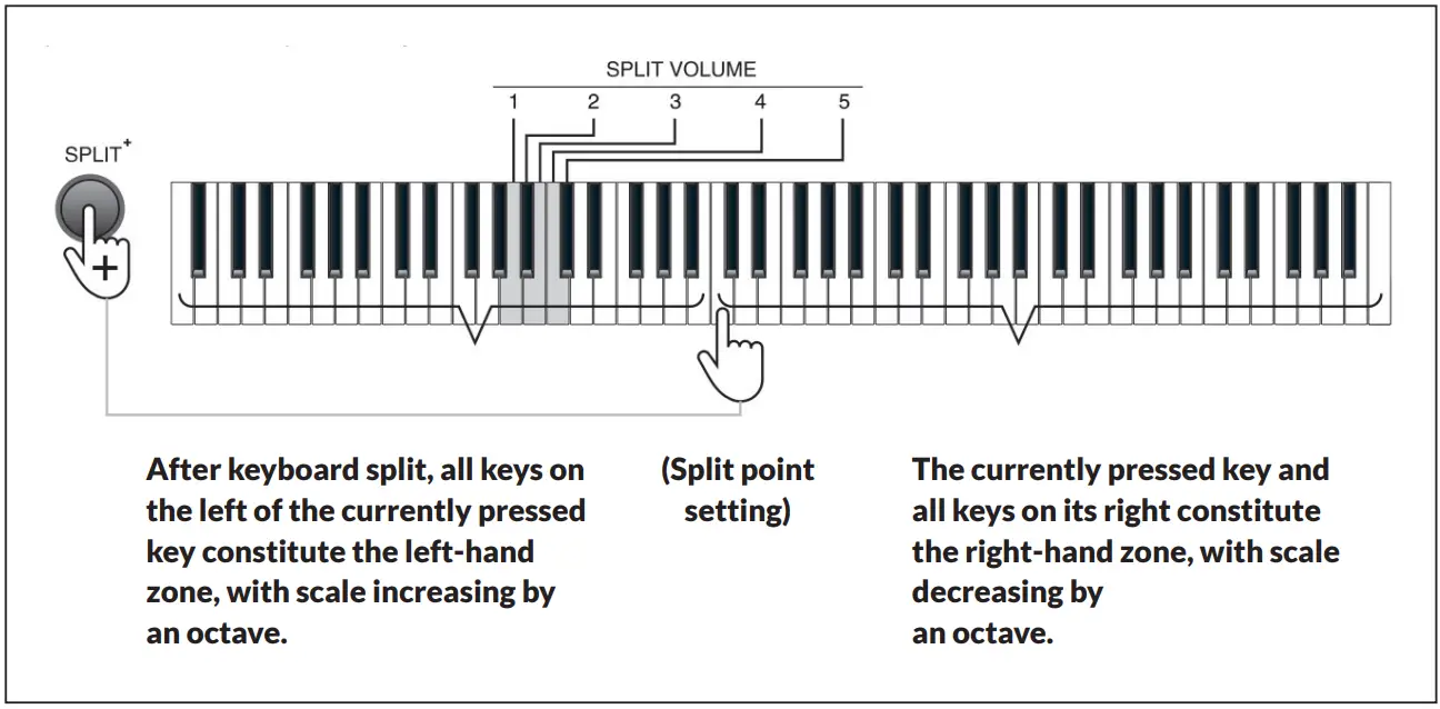 Schubert 10034897 Piano Keyboard - Split
