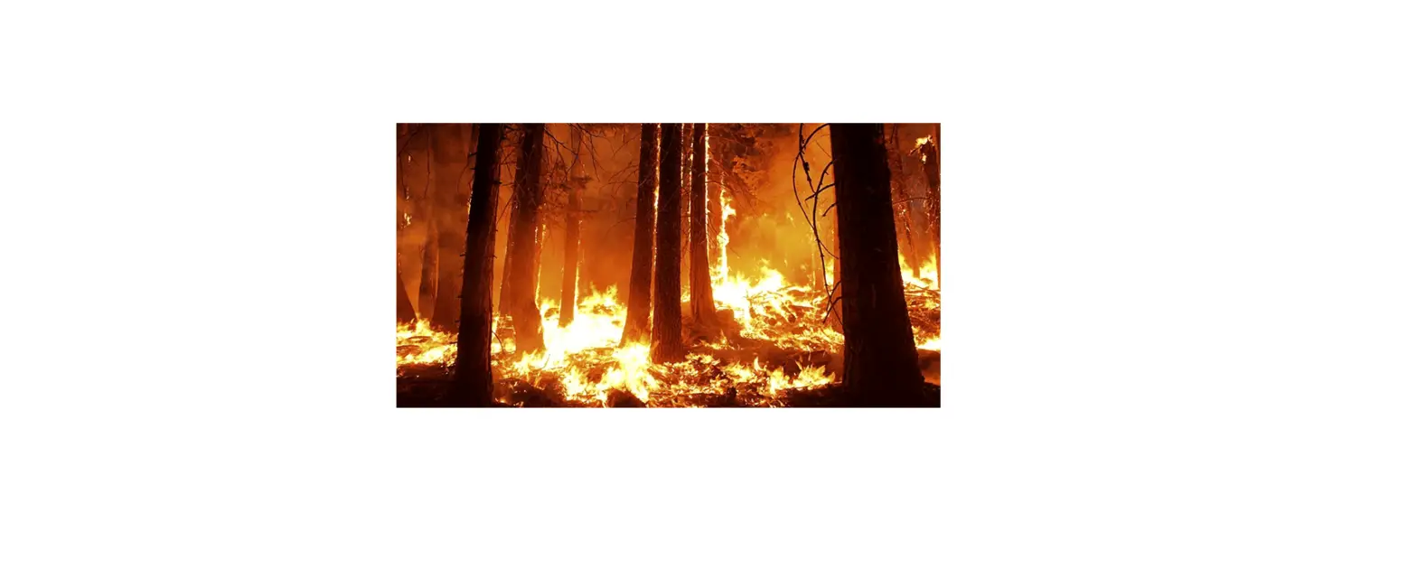 Meter Environment Assessing Erosion Risk After Forest Fires Instructions