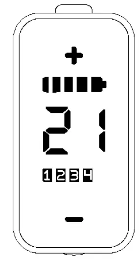 BAFANG-DP E161-CAN-Display-15