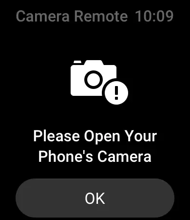Camera remote
