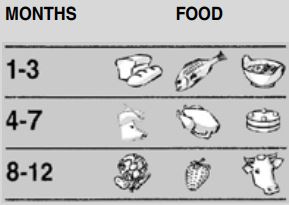 Whirlpool-WHE20112-Freestanding-Freezer-fig-6