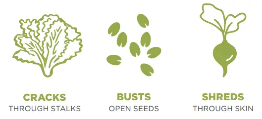 NUTRiBULLET-PRO-Plus-120W-Blender-fig- (1)