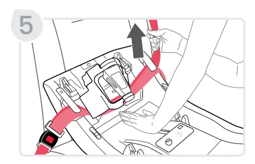 Lap-Shoulder Belt Installation