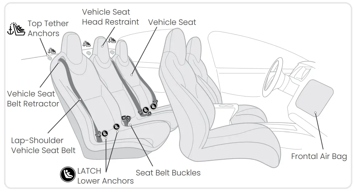 Using the Lower Anchors