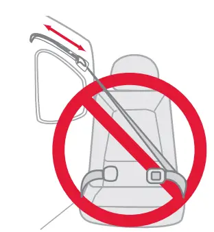 Incompatible Vehicle Seat Belts
