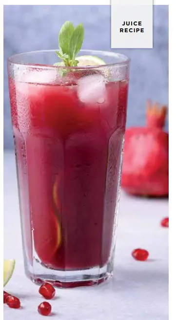 NINJA NeverClog Cold Press Juicer Recipes - JUICE 1