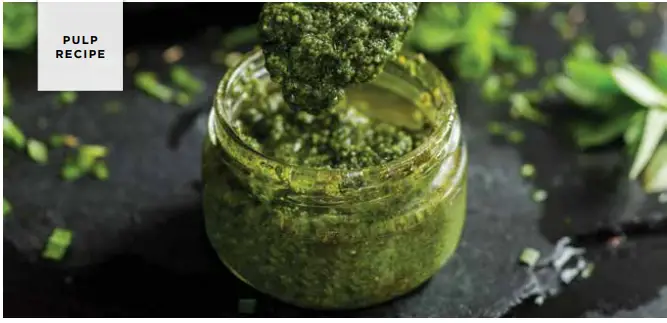 NINJA NeverClog Cold Press Juicer Recipes - JUICE 12