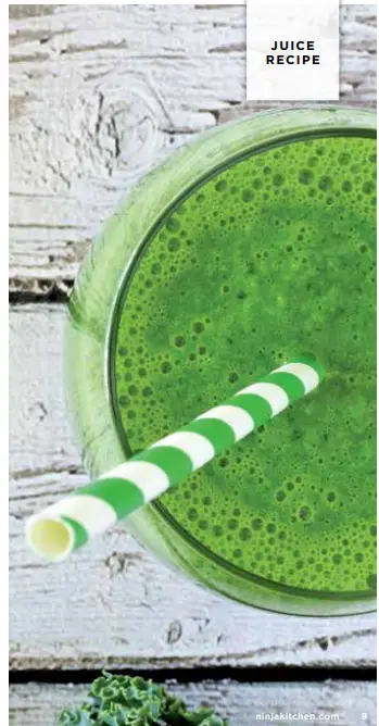 NINJA NeverClog Cold Press Juicer Recipes - JUICE 3