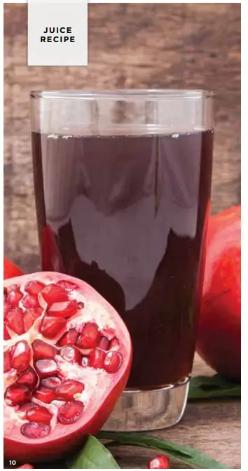 NINJA NeverClog Cold Press Juicer Recipes - JUICE 4