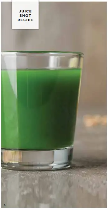 NINJA NeverClog Cold Press Juicer Recipes - JUICE