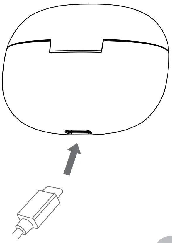 Charging Instructions