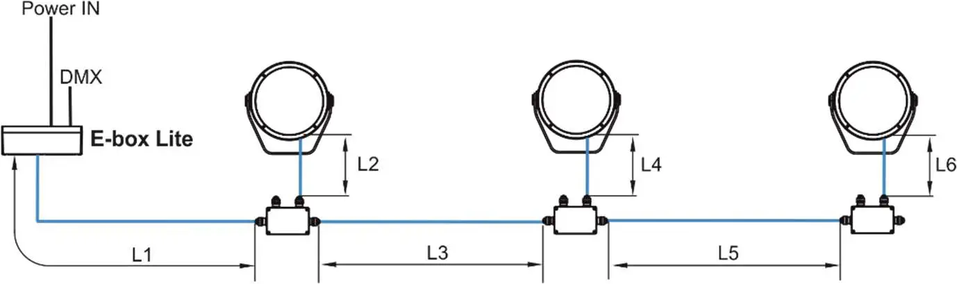 Anolis-Calumma-M-MC-LED-Lighting-12
