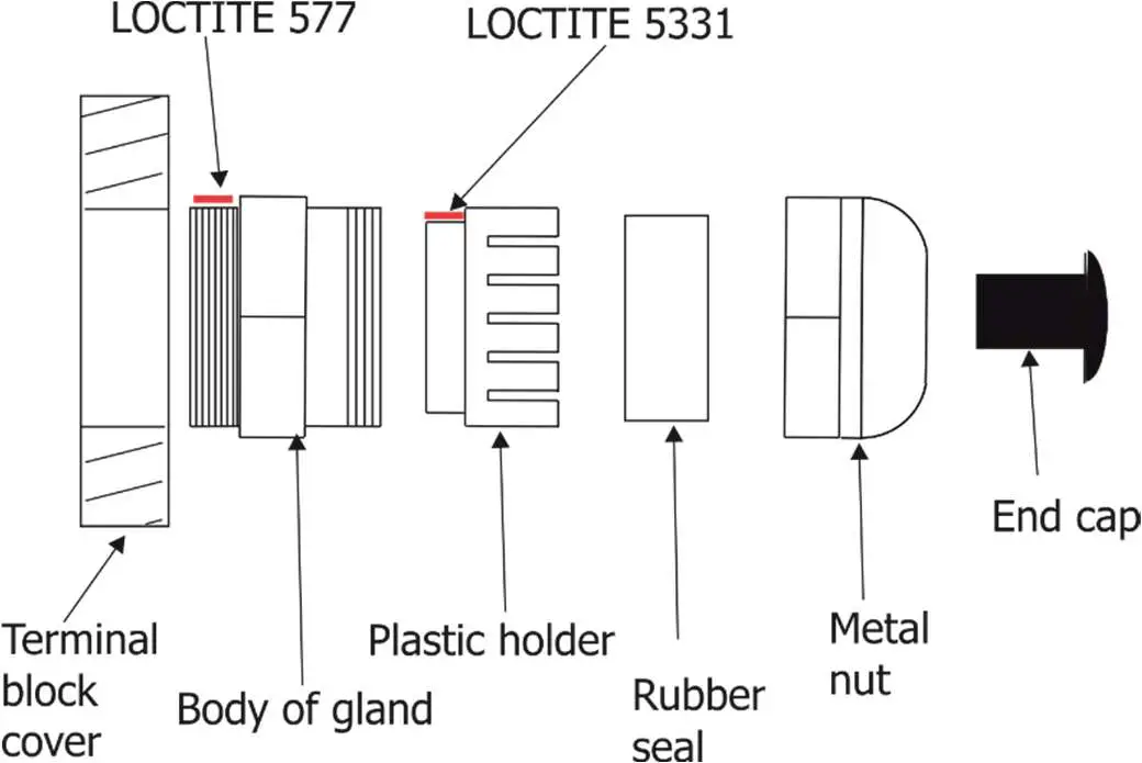 Anolis-Calumma-M-MC-LED-Lighting-18