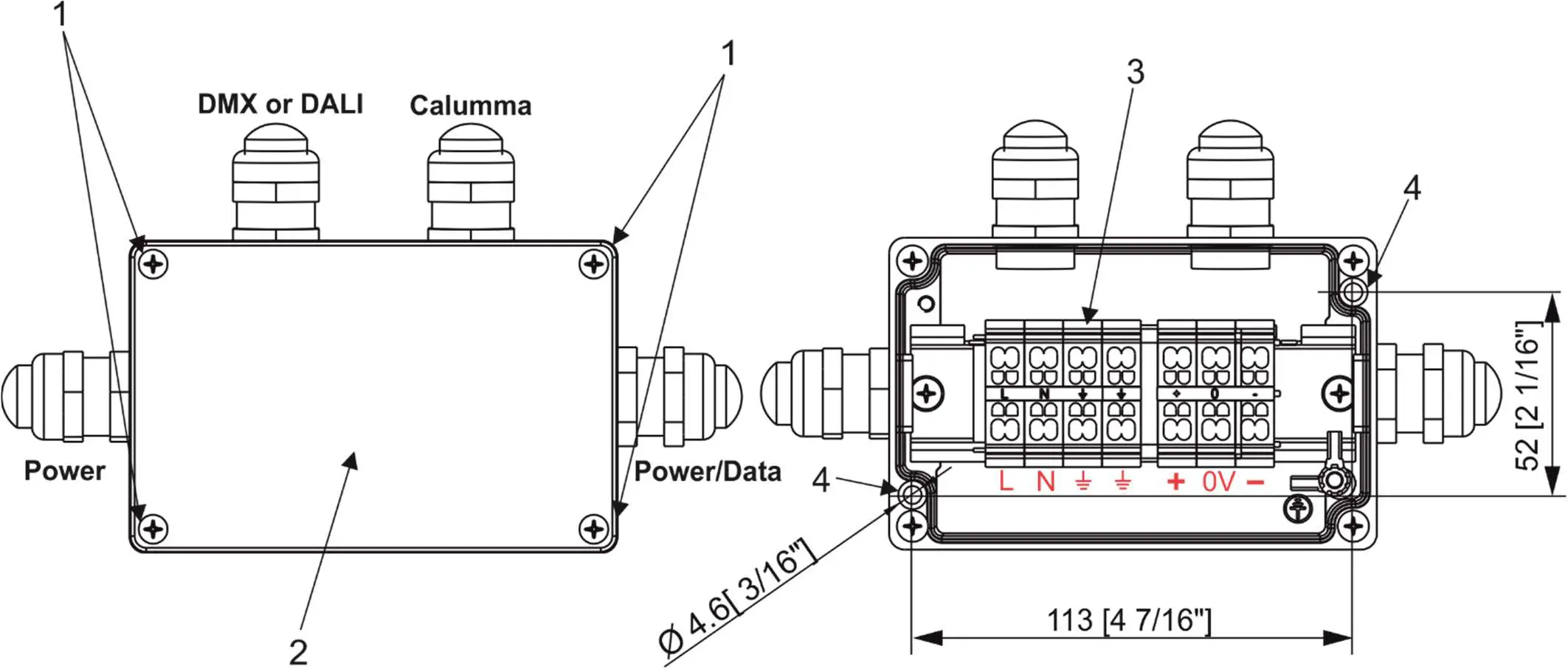 Anolis-Calumma-M-MC-LED-Lighting-4