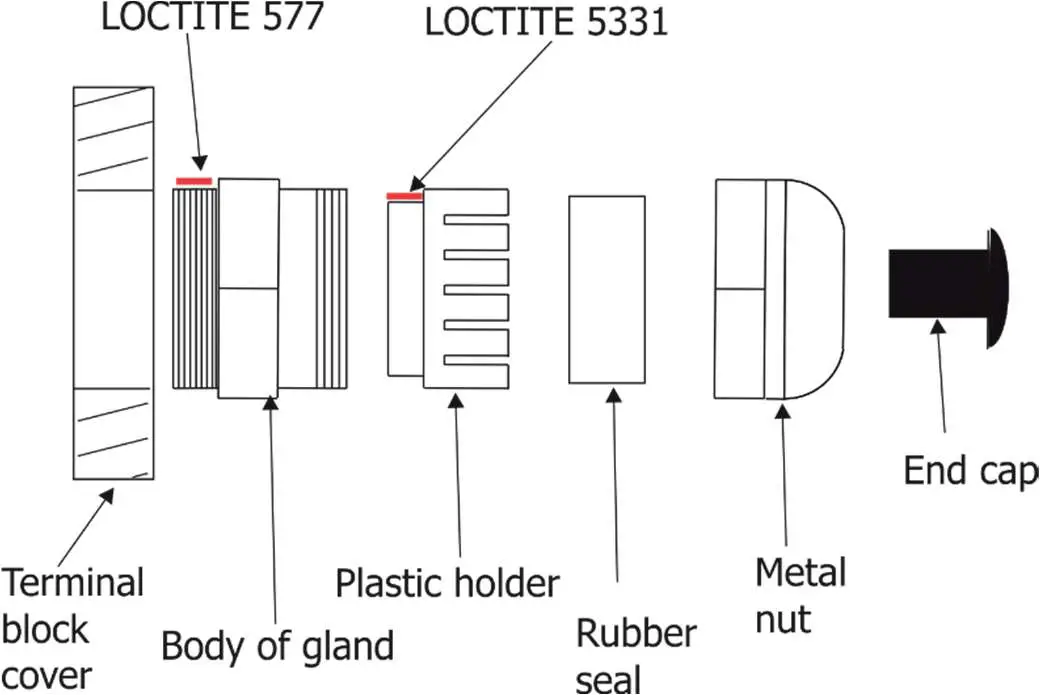 Anolis-Calumma-M-MC-LED-Lighting-5