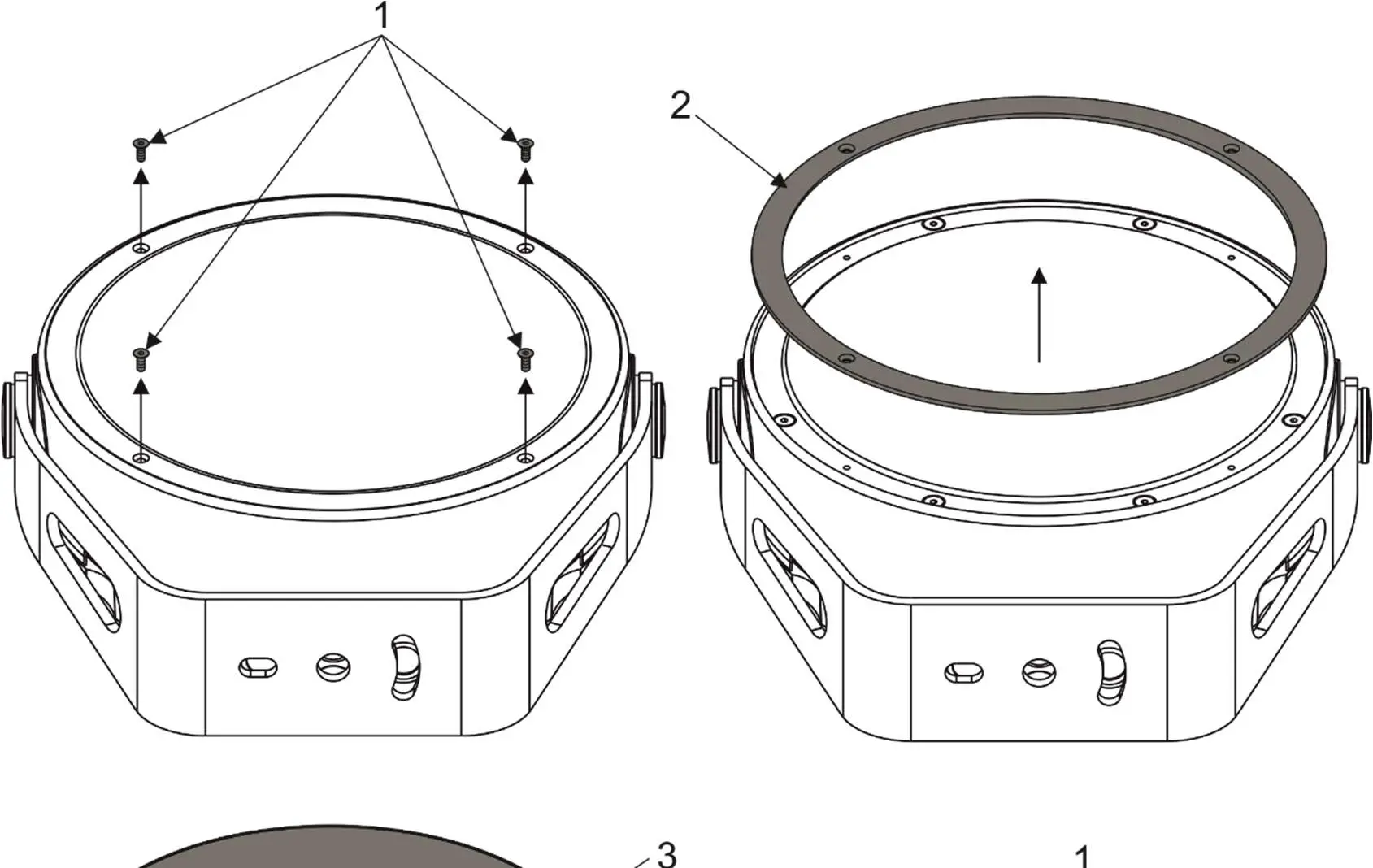 Anolis-Calumma-M-MC-LED-Lighting-6