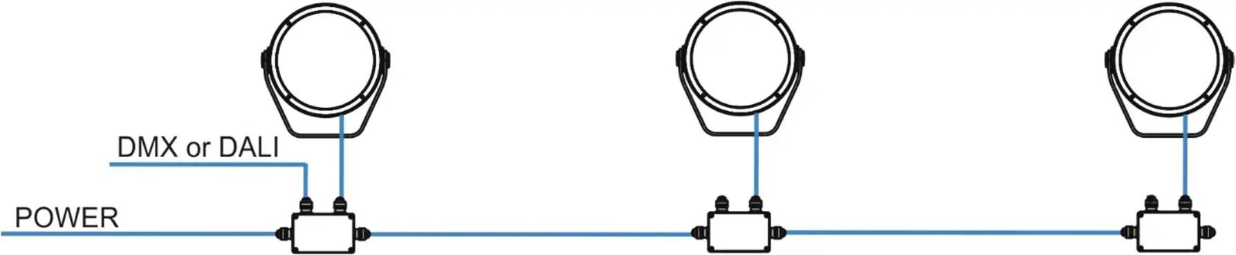 Anolis-Calumma-M-MC-LED-Lighting-8