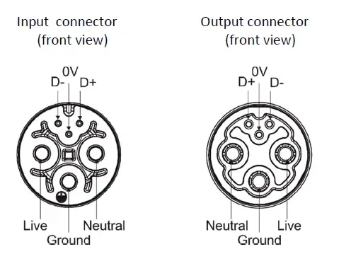 Anolis=Calumma-M-MC-LED-Lighting-15