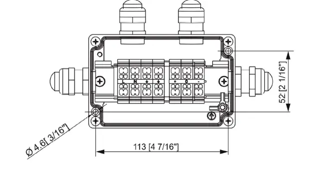 Anolis=Calumma-M-MC-LED-Lighting-28