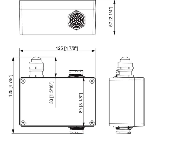 Anolis=Calumma-M-MC-LED-Lighting-29