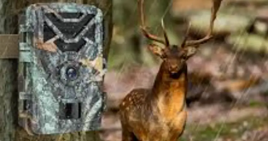 Hawkray T3 Hunting Camera User Manual Hawkray T3 Hunting Camera User Manual